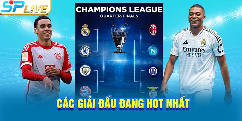 Các giải đấu đang hot nhất