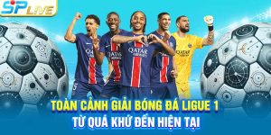 Toàn Cảnh Giải Bóng Đá Ligue 1 Từ Quá Khứ Đến Hiện Tại