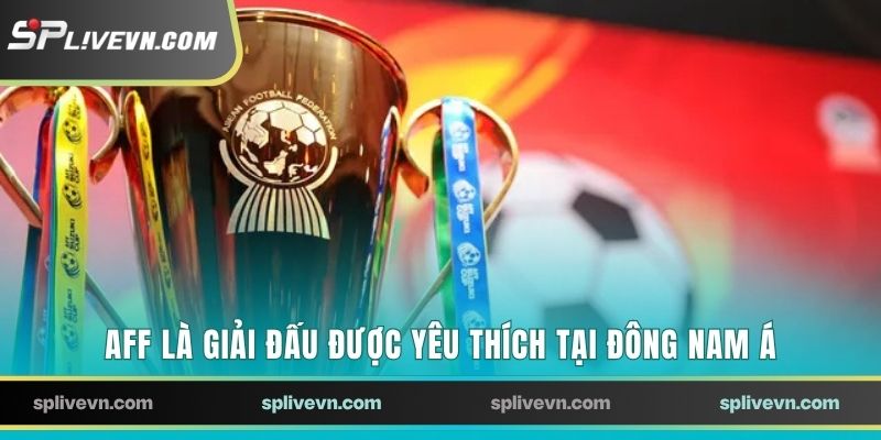 AFF là giải đấu được yêu thích tại Đông Nam Á