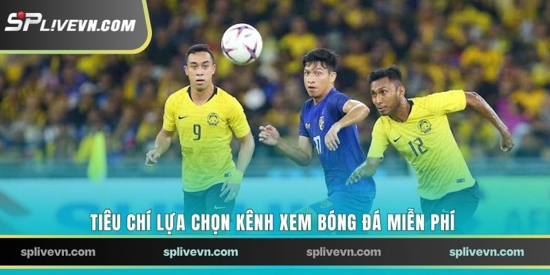 Tiêu chí lựa chọn kênh xem bóng đá miễn phí