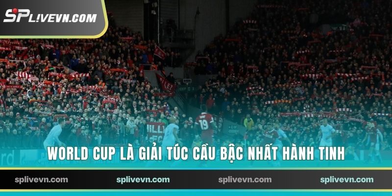 World Cup là giải túc cầu bậc nhất hành tinh